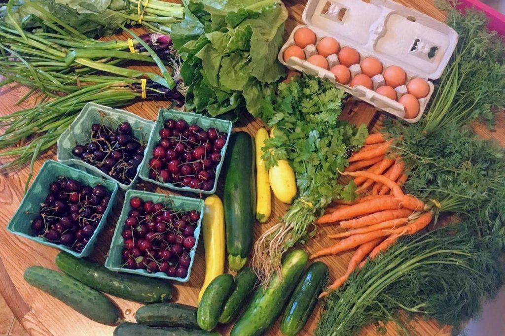 a spread of vegetables from a farm share including zucchini, carrots, herbs, onions, lettuce, and eggs from the csa