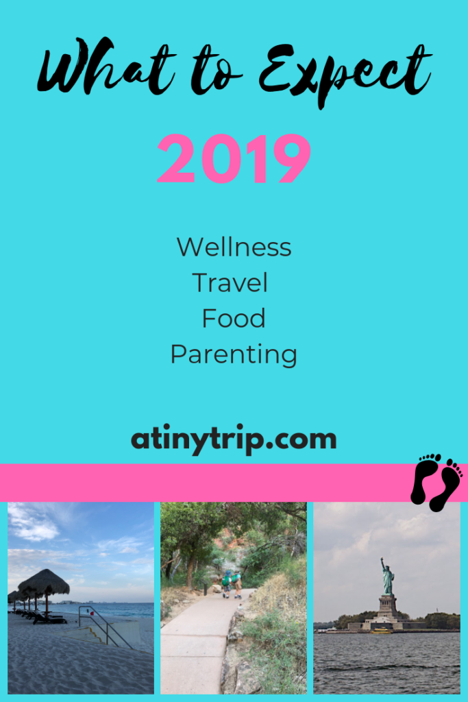 what to expect in 2019 on atinytrip