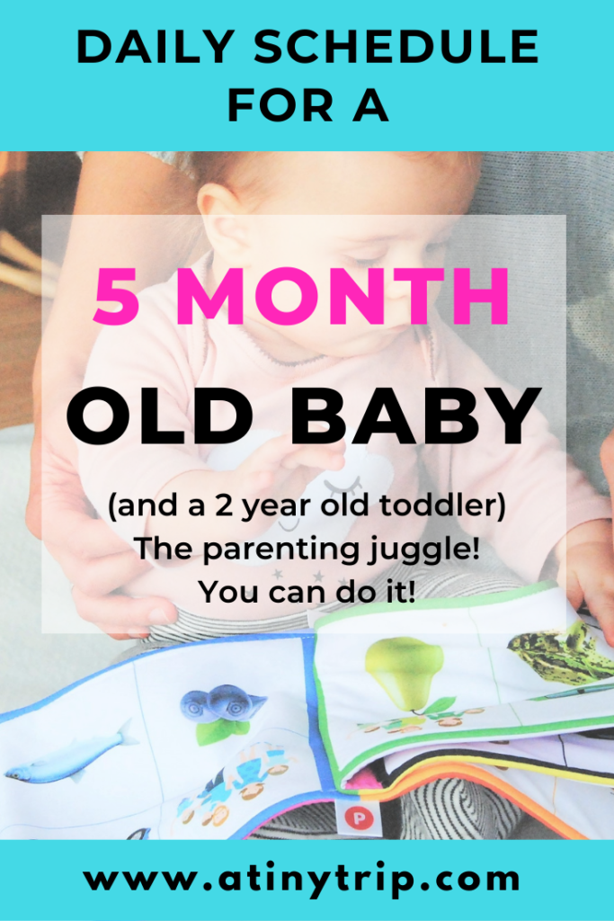 Daily schedule for a 5 month old baby and 2 year old toddler graphic