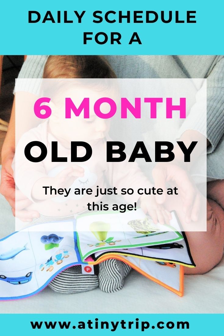 6 months old routine