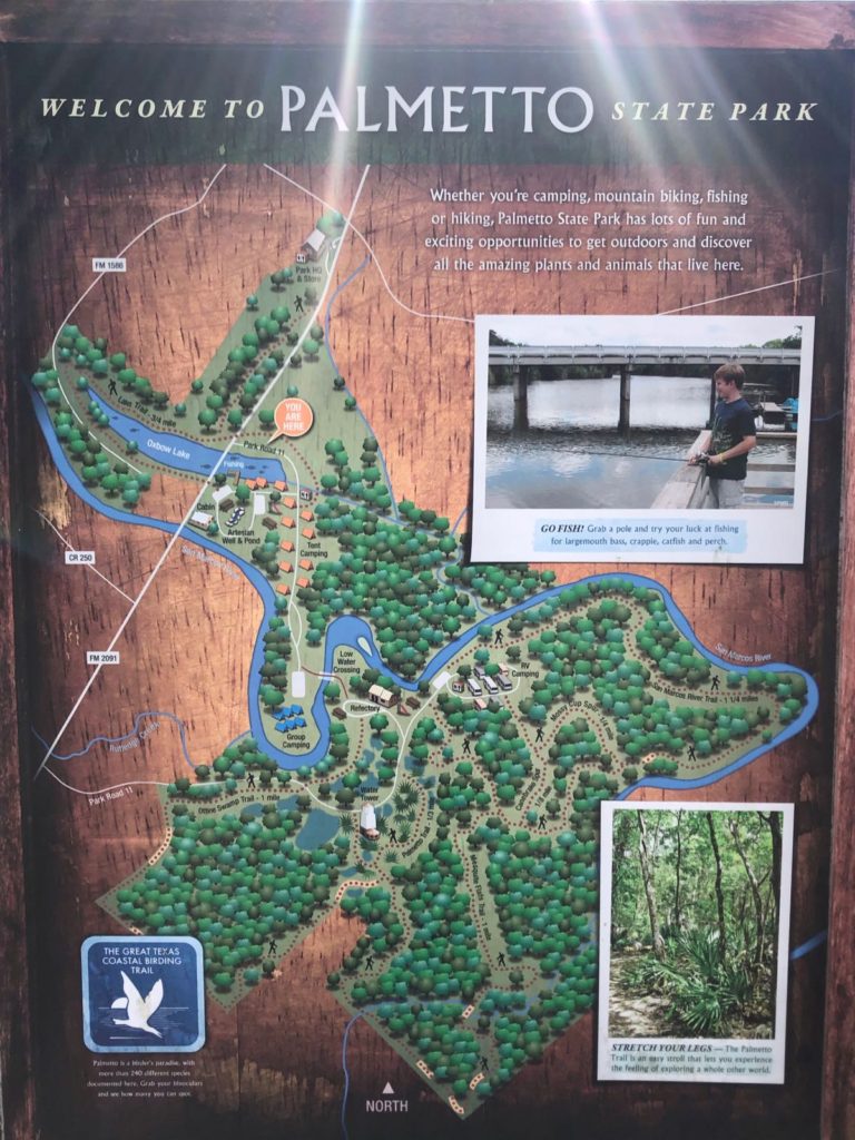 Palmetto State Park Map Alecia Lorianna