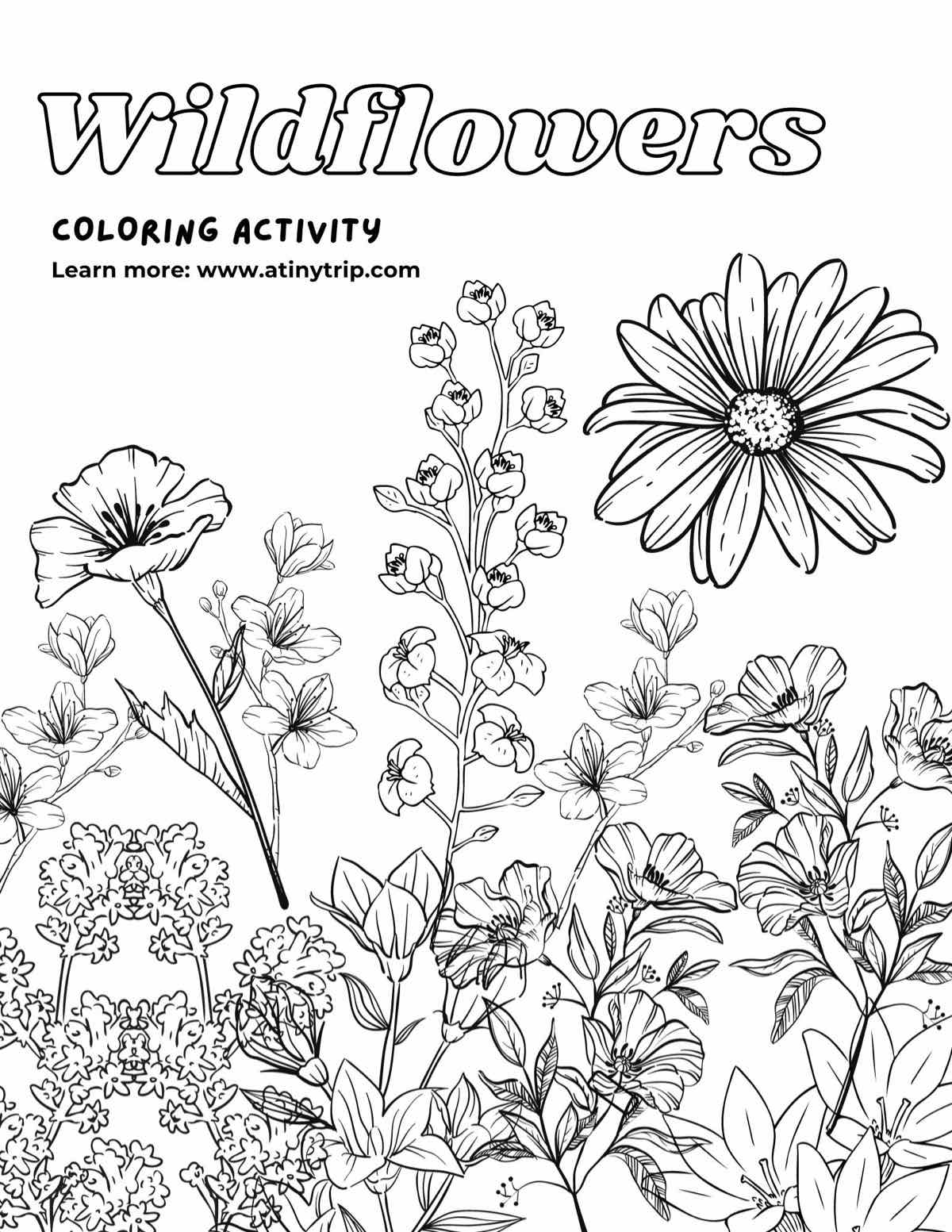 Texas Wildflowers Coloring Page