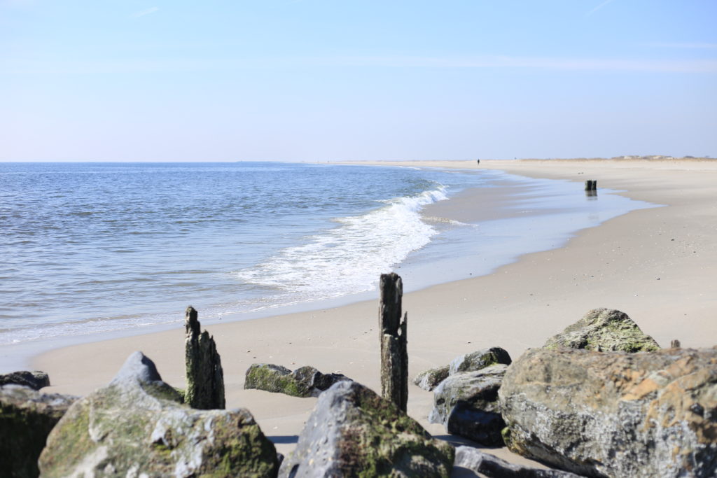 New York Beaches Fort Tilden and Jacob Riis Park A Tiny Trip