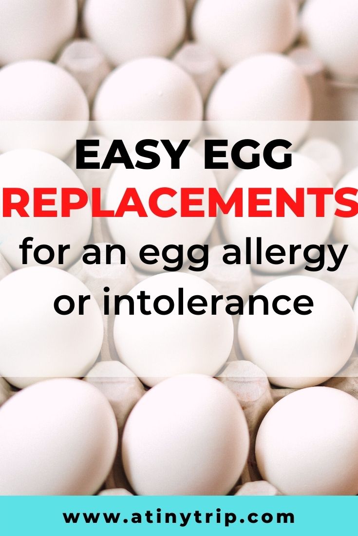 Egg Allergy or Intolerance A Tiny Trip