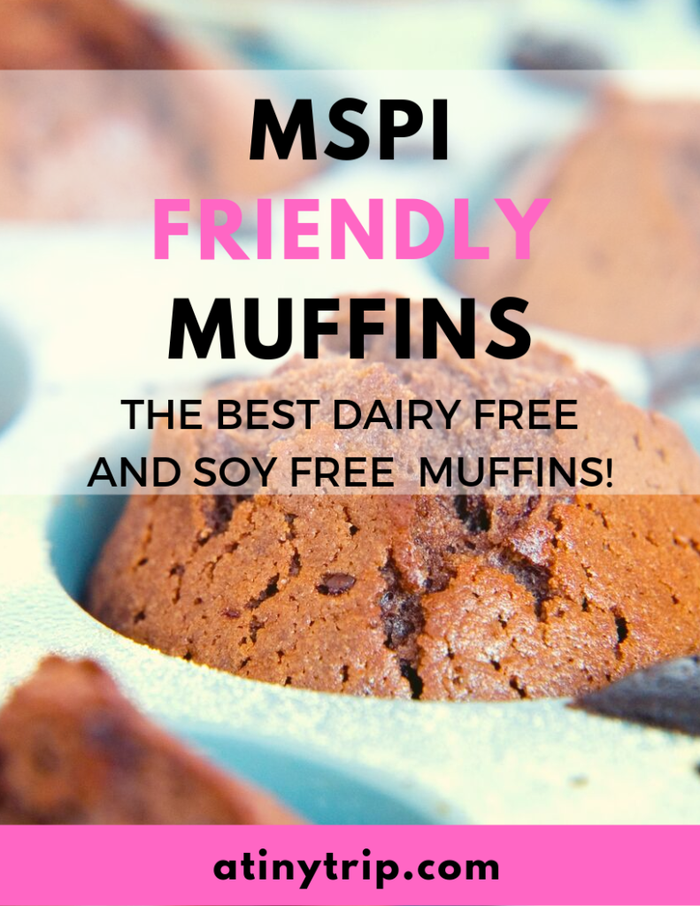 mspi friendly muffin banner