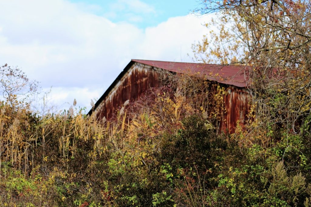 fall with rusted storage shed or barn