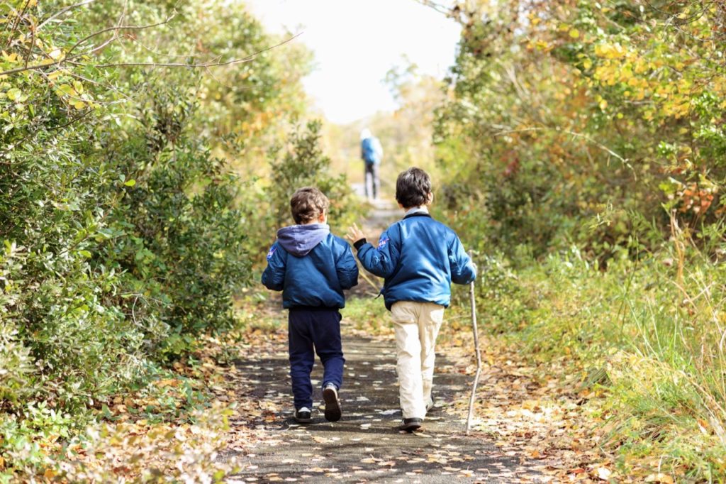 fall hike in brooklyn