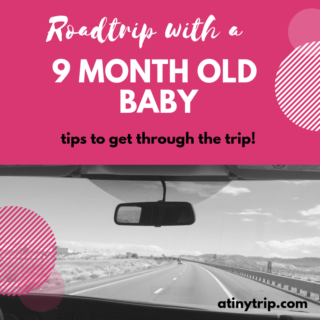Road Trip with a 9 Month Old : tips to get through the trip