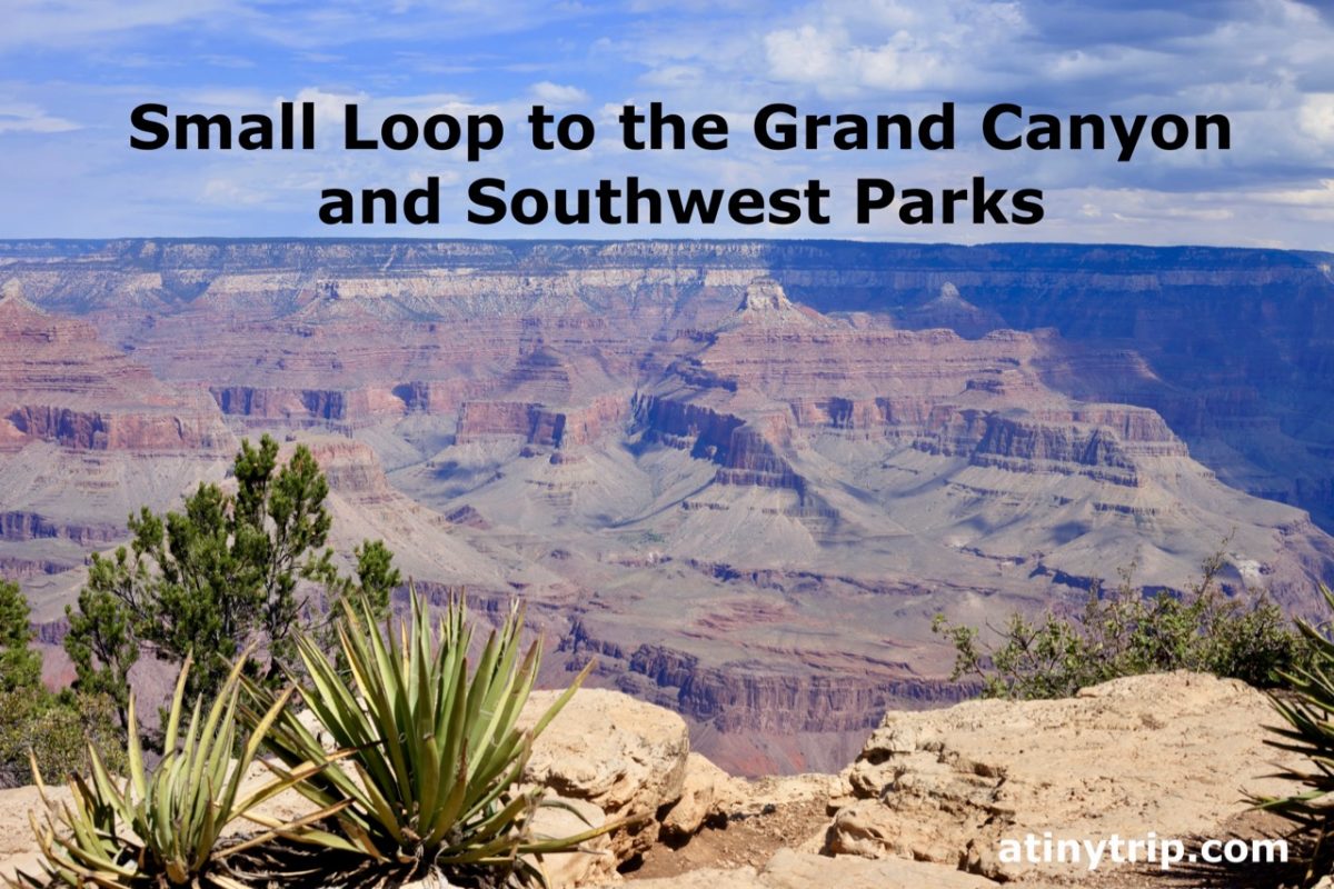 Image of the Grand Canyon South Rim with cacti in foreground and caption