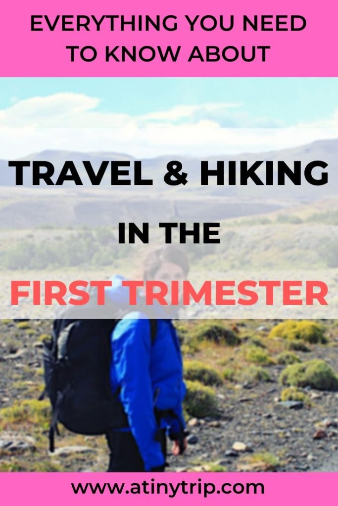 can travel in first trimester